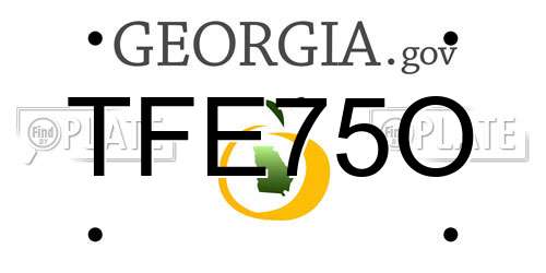 TFE75O Georgia License Plate