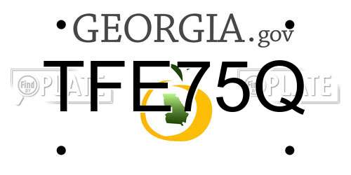 TFE75Q Georgia License Plate