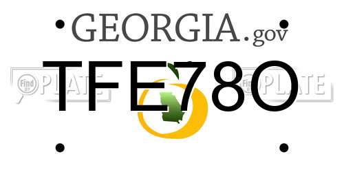 TFE78O Georgia License Plate