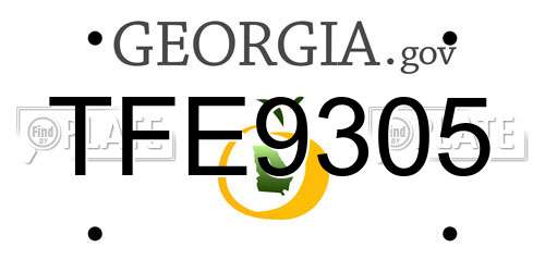 TFE9305 Georgia License Plate