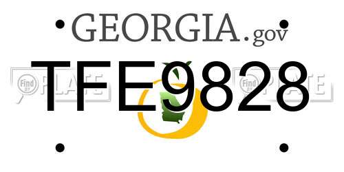 TFE9828 Georgia License Plate