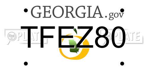 TFEZ80 Georgia License Plate