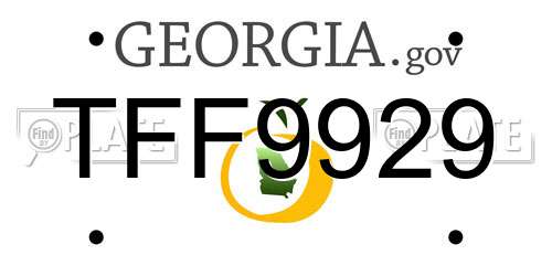 TFF9929 Georgia License Plate