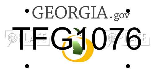 TFG1076 Georgia License Plate