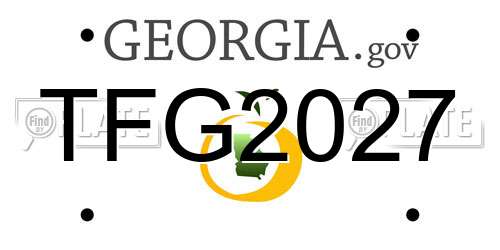 TFG2027 Georgia License Plate