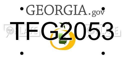 TFG2053 Georgia License Plate