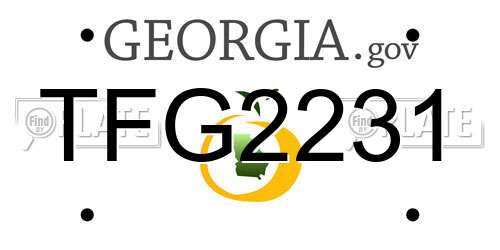 TFG2231 Georgia License Plate