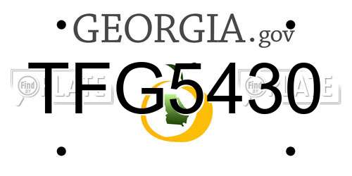 TFG5430 Georgia License Plate