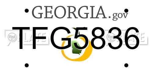 TFG5836 Georgia License Plate