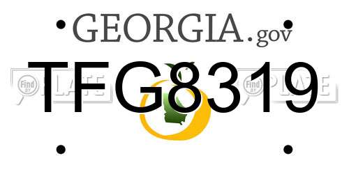 TFG8319 Georgia License Plate
