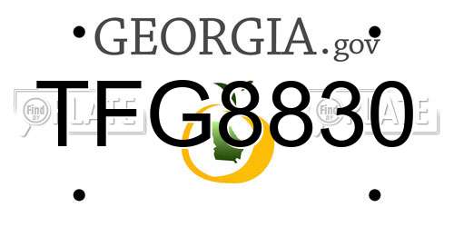 TFG8830 Georgia License Plate
