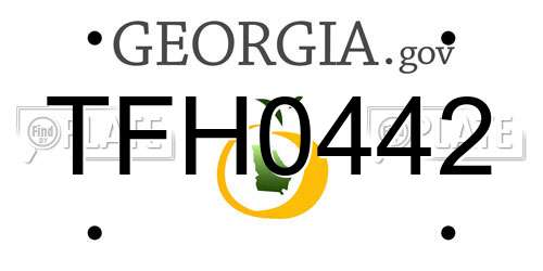 TFH0442 Georgia License Plate