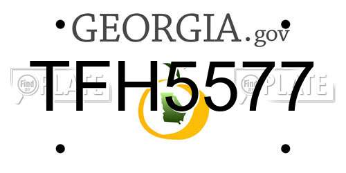 TFH5577 Georgia License Plate