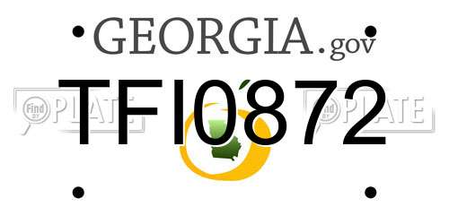 TFI0872 Georgia License Plate