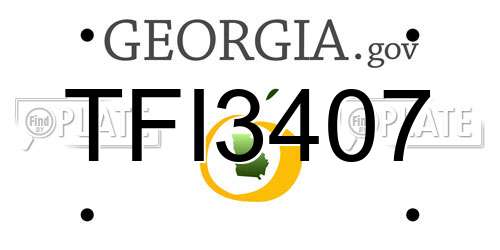 TFI3407 Georgia License Plate