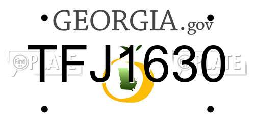 TFJ1630 Georgia License Plate
