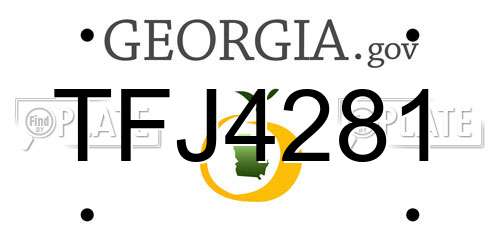 TFJ4281 Georgia License Plate