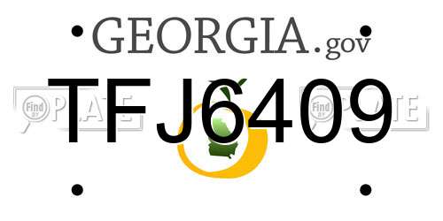TFJ6409 Georgia License Plate