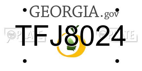 TFJ8024 Georgia License Plate