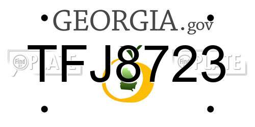 TFJ8723 Georgia License Plate