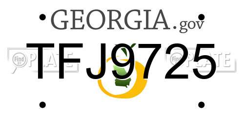 TFJ9725 Georgia License Plate
