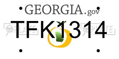 TFK1314 Georgia License Plate