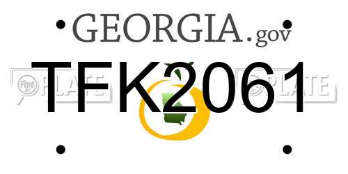 TFK2061 Georgia License Plate