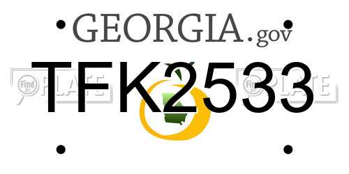 TFK2533 Georgia License Plate