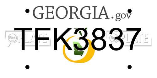 TFK3837 Georgia License Plate