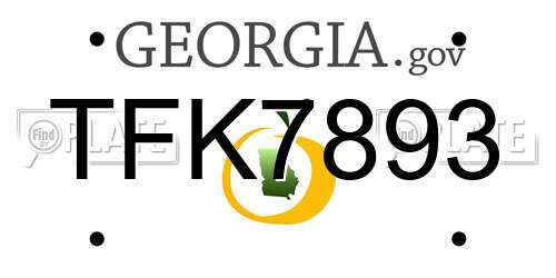 TFK7893 Georgia License Plate