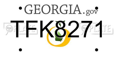 TFK8271 Georgia License Plate