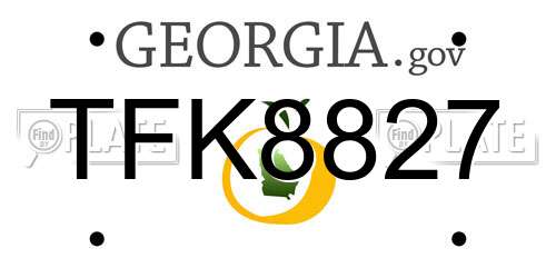 TFK8827 Georgia License Plate