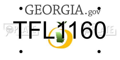 TFL1160 Georgia License Plate