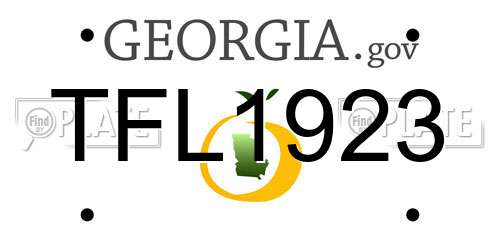 TFL1923 Georgia License Plate