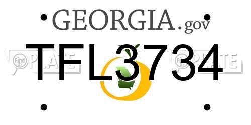 TFL3734 Georgia License Plate