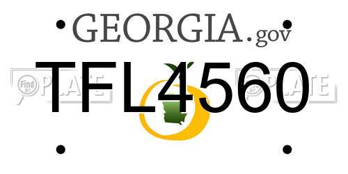 TFL4560 Georgia License Plate