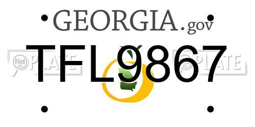 TFL9867 Georgia License Plate