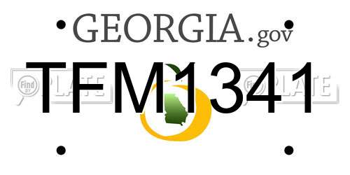 TFM1341 Georgia License Plate