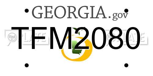 TFM2080 Georgia License Plate