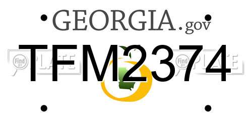 TFM2374 Georgia License Plate