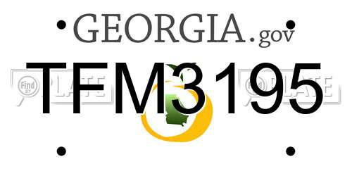 TFM3195 Georgia License Plate