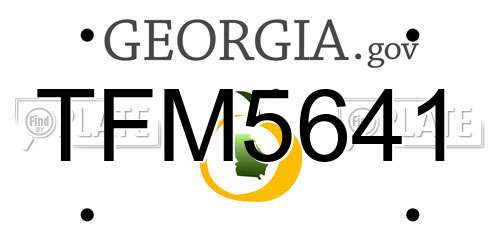 TFM5641 Georgia License Plate