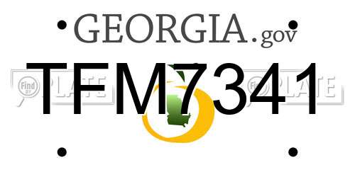 TFM7341 Georgia License Plate