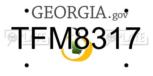 TFM8317 Georgia License Plate