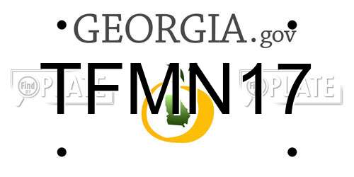 TFMN17 Georgia License Plate