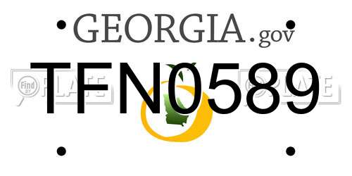 TFN0589 Georgia License Plate