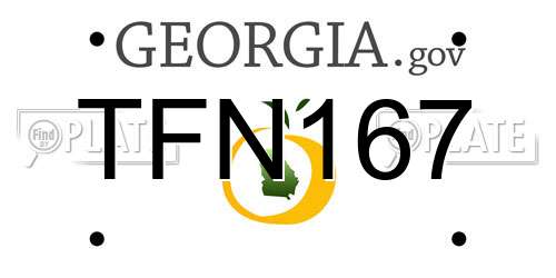 TFN167 Georgia License Plate