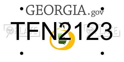 TFN2123 Georgia License Plate