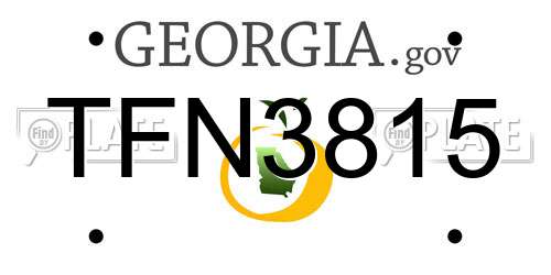 TFN3815 Georgia License Plate