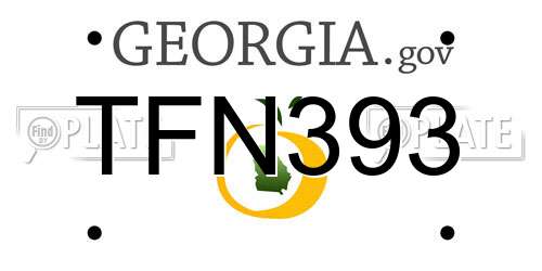 TFN393 Georgia License Plate